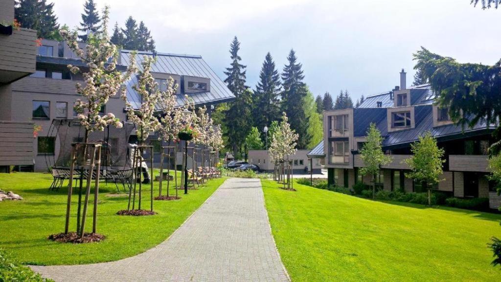 Horsky Apartman 1+Kk V Relaxacnim Prostredi Anenskeho Udoli Daire Harrachov Dış mekan fotoğraf
