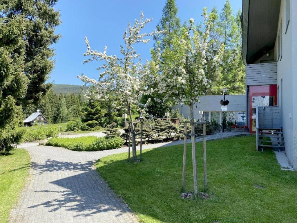 Horsky Apartman 1+Kk V Relaxacnim Prostredi Anenskeho Udoli Daire Harrachov Dış mekan fotoğraf